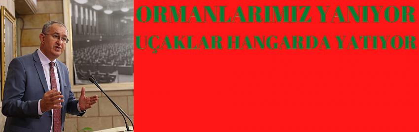 ORMANLARIMIZ YANIYOR UÇAKLAR HANGARDA YATIYOR